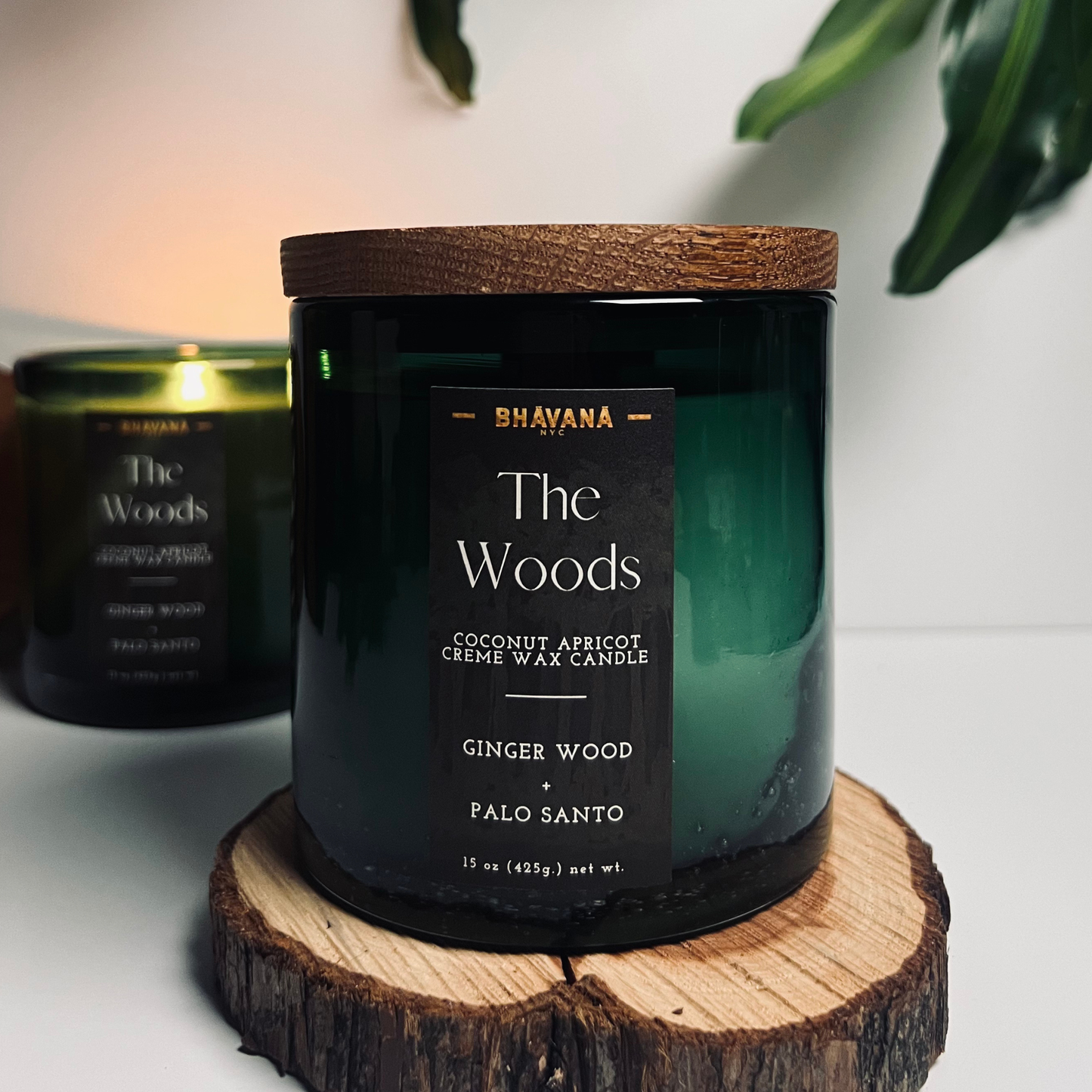 Ginger Wood + Palo Santo Candle | The Woods Collection