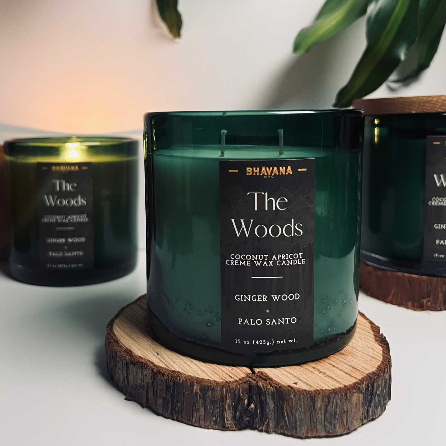 Ginger Wood + Palo Santo Candle | The Woods Collection